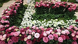 Resize of IMG_7195.JPG